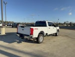 2024 Ford Super Duty F-250 SRW XLT