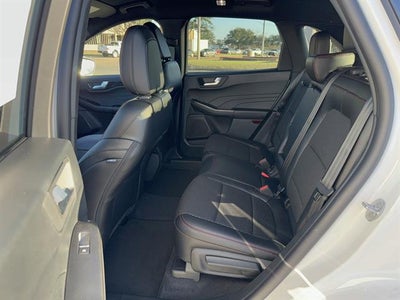 2026 Ford Escape ST-Line Select